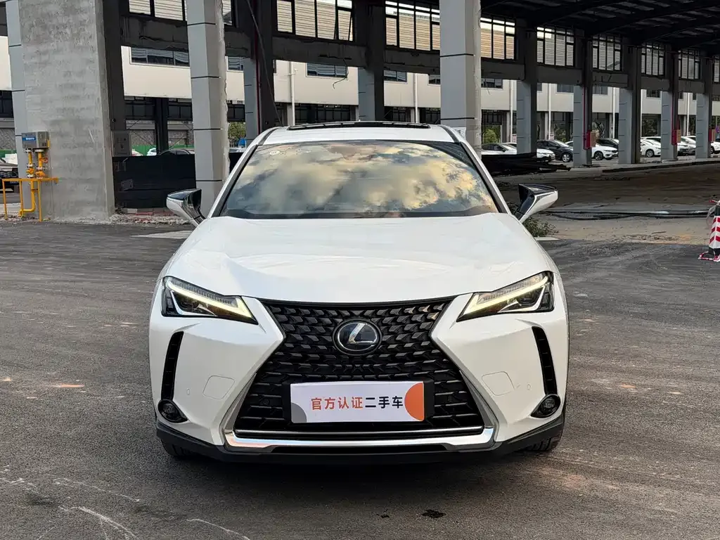 Lexus UX New Energy — фото 10