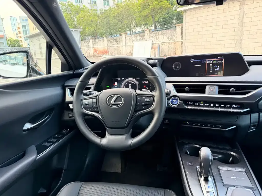 Lexus UX New Energy — фото 4
