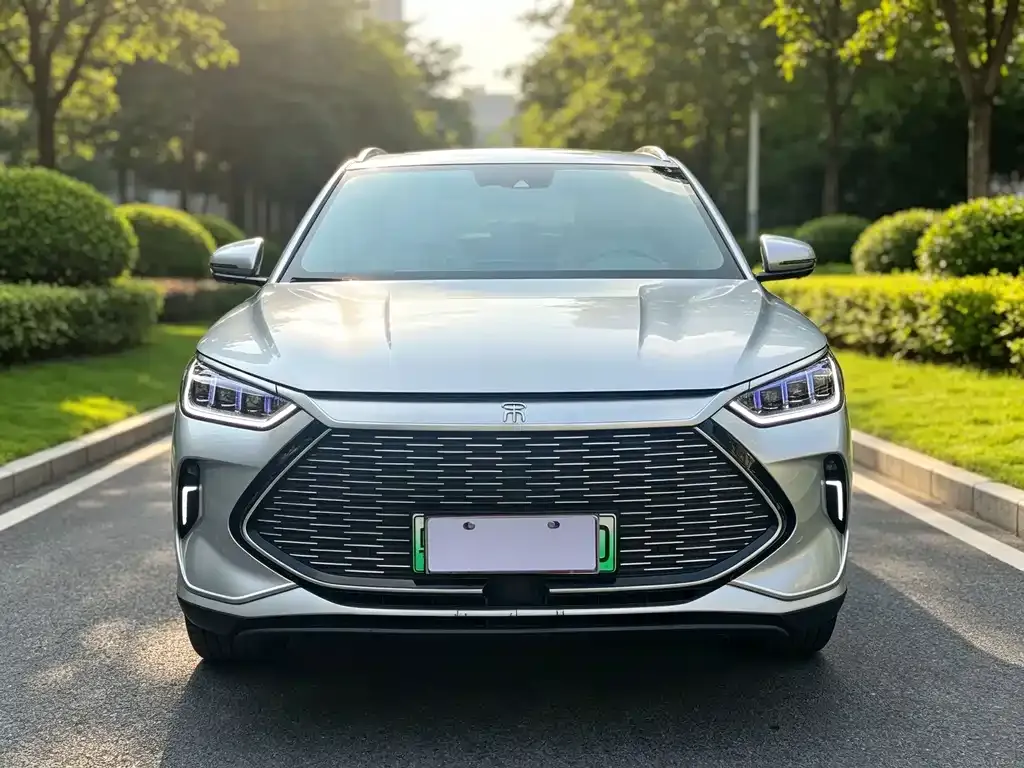 BYD PLUS New Energy — фото 8