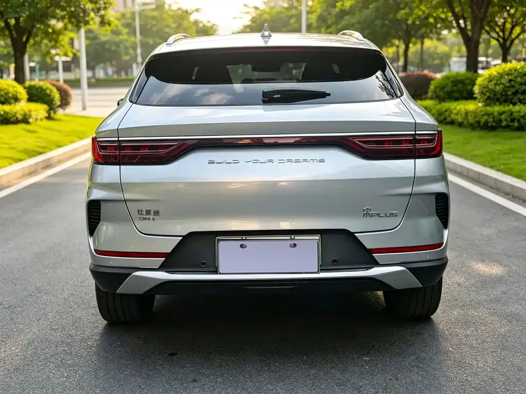 BYD PLUS New Energy — фото 2