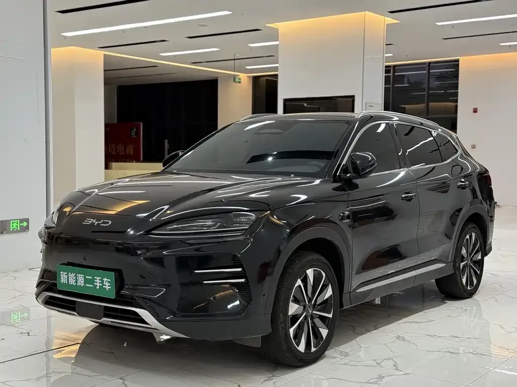 BYD PLUS New Energy — фото 1