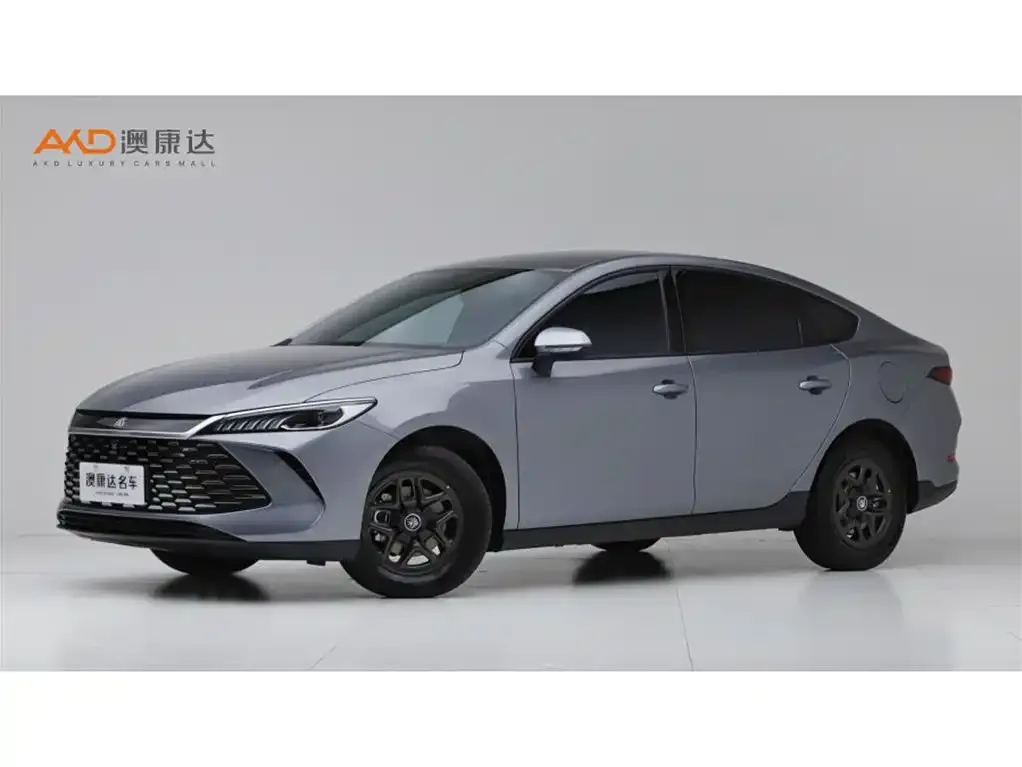 BYD Qin PLUS — фото 1