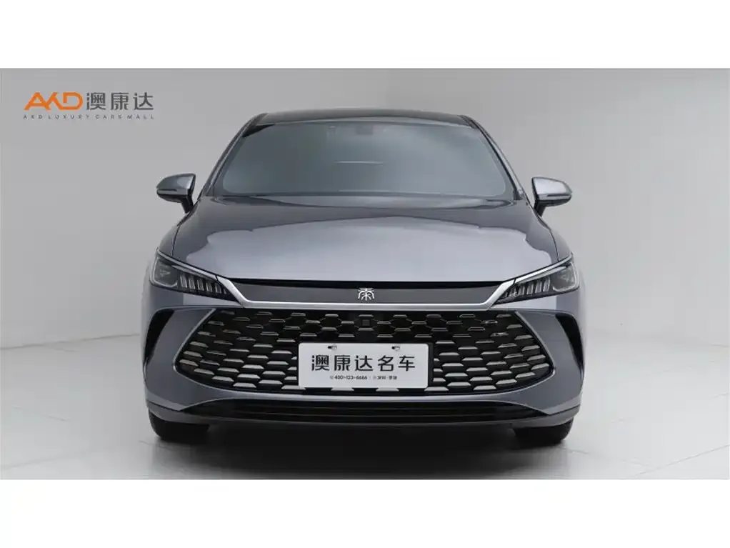 BYD Qin PLUS — фото 6