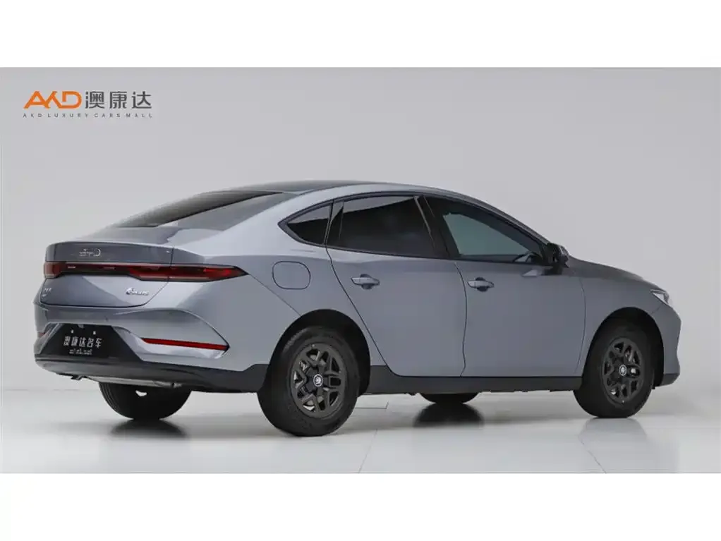 BYD Qin PLUS — фото 2