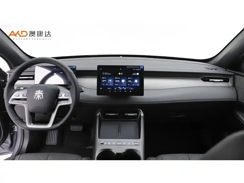 BYD Qin PLUS — фото 7