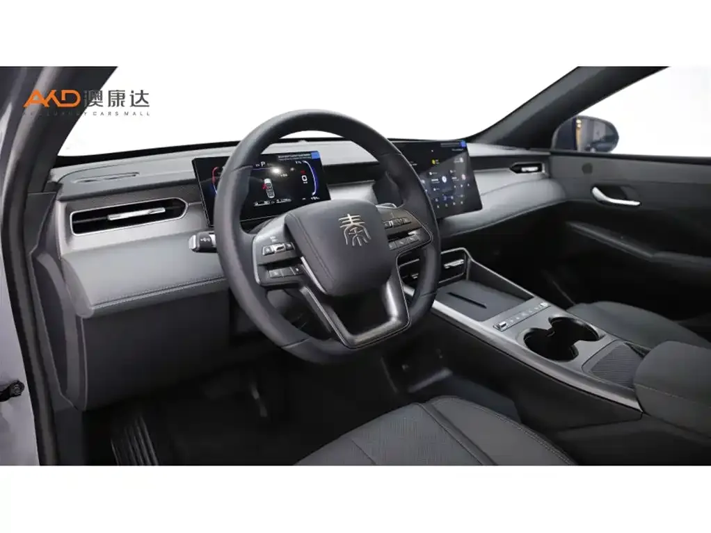 BYD Qin PLUS — фото 4