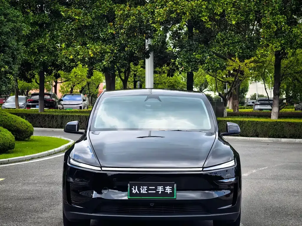 Tesla Model Y — фото 5