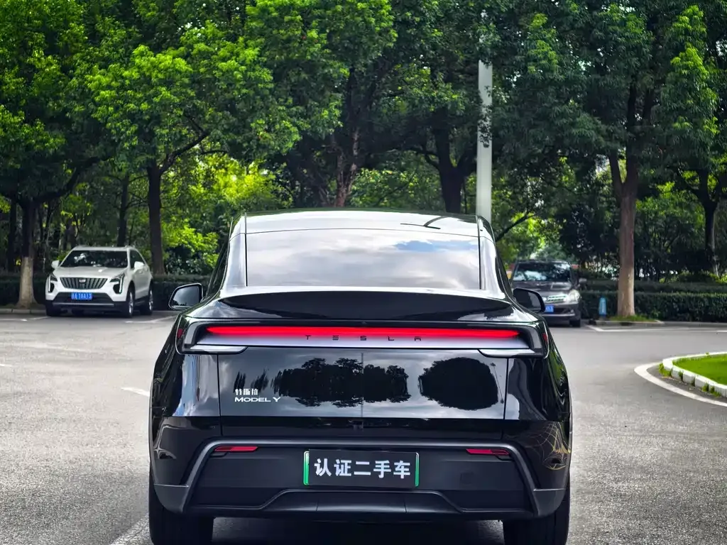 Tesla Model Y — фото 8