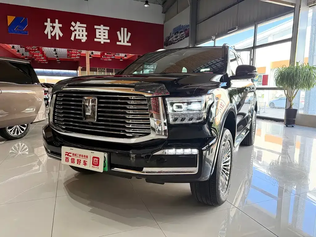 Tank 500 New Energy — фото 4