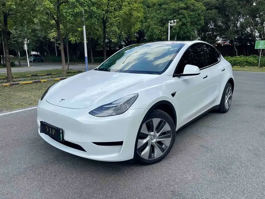 Tesla Model Y — фото 1