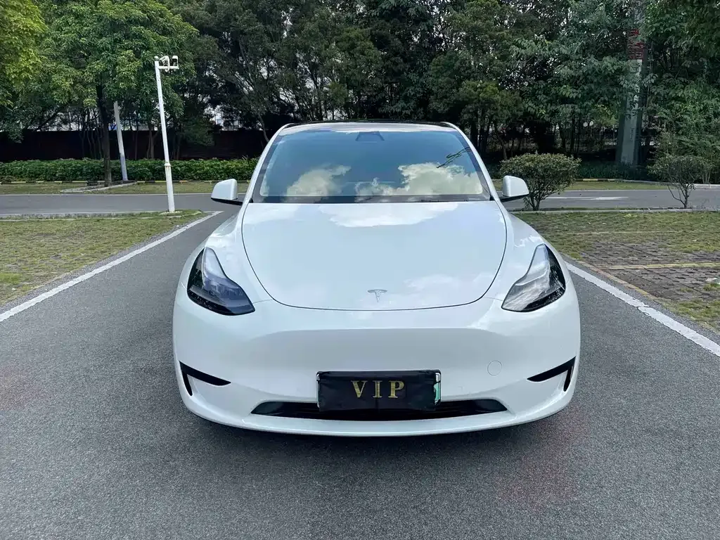 Tesla Model Y — фото 9