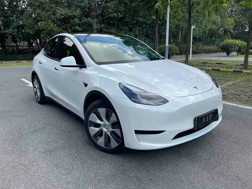 Tesla Model Y — фото 5