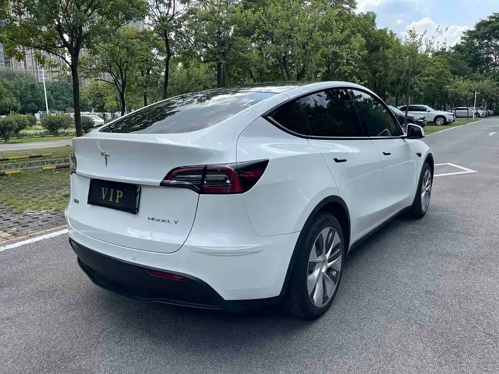 Tesla Model Y — фото 10