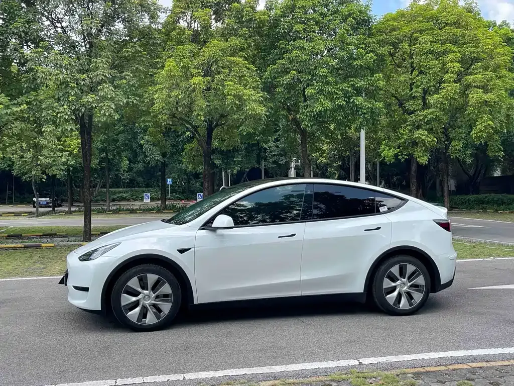 Tesla Model Y — фото 3