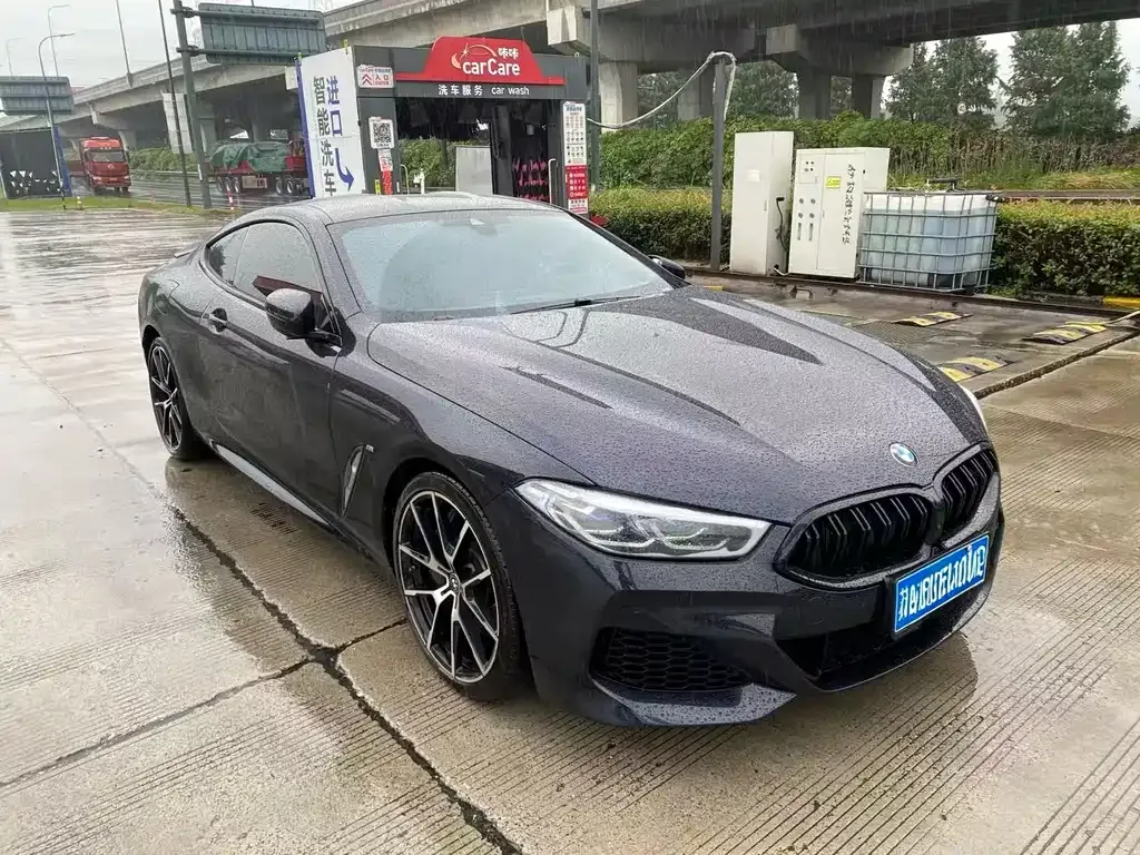 BMW 8 Series — фото 6