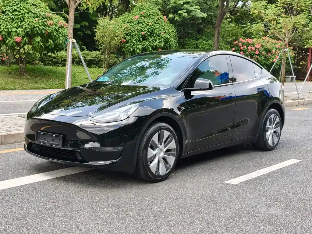 Tesla Model Y — фото 1