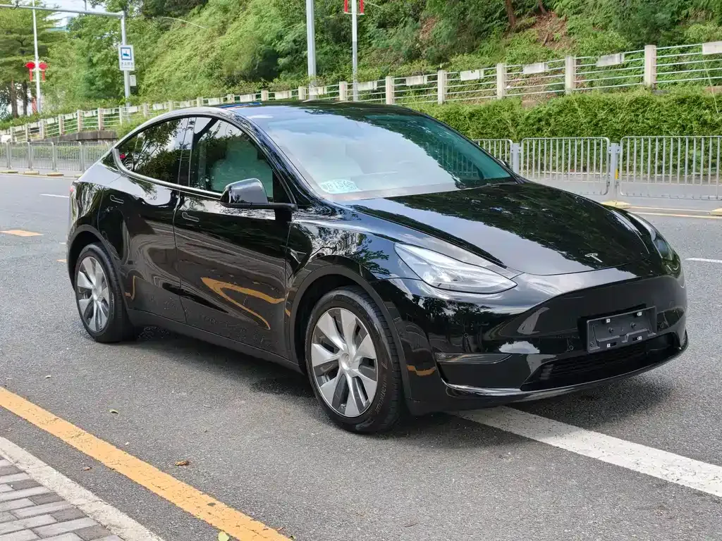 Tesla Model Y — фото 10