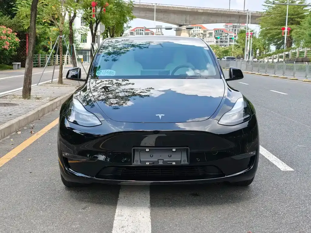 Tesla Model Y — фото 5