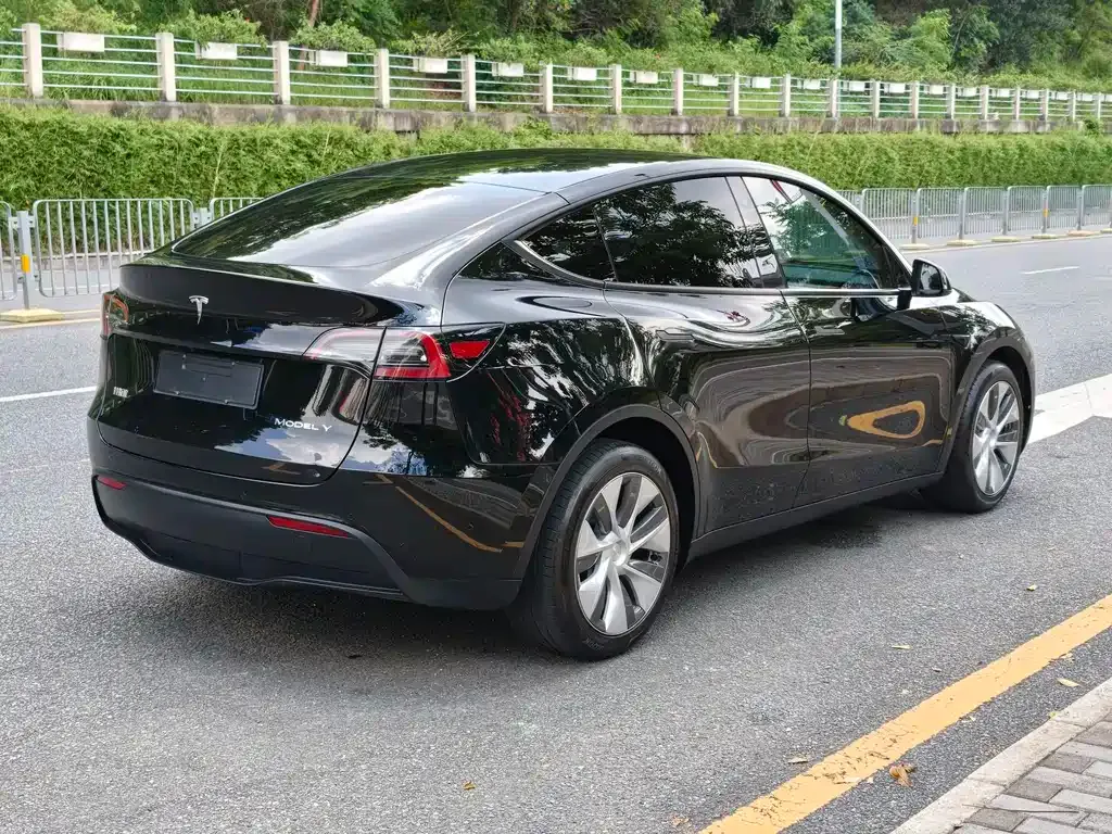 Tesla Model Y — фото 6