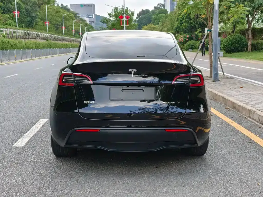 Tesla Model Y — фото 8