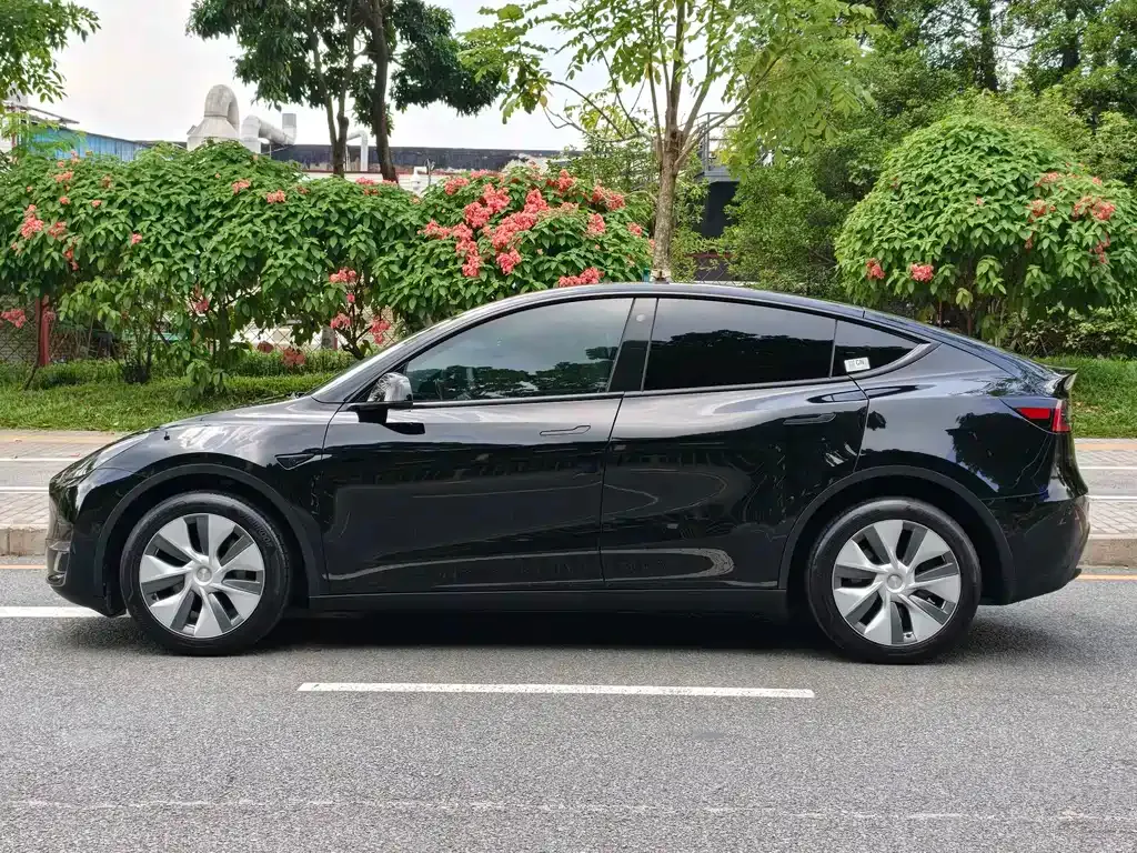 Tesla Model Y — фото 7
