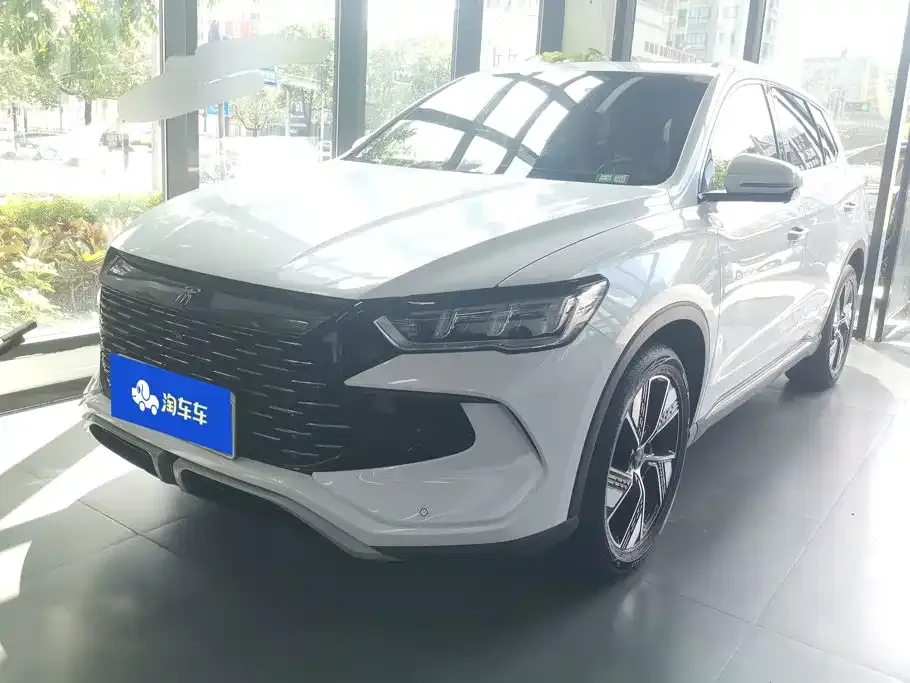 BYD Pro New Energy — фото 1