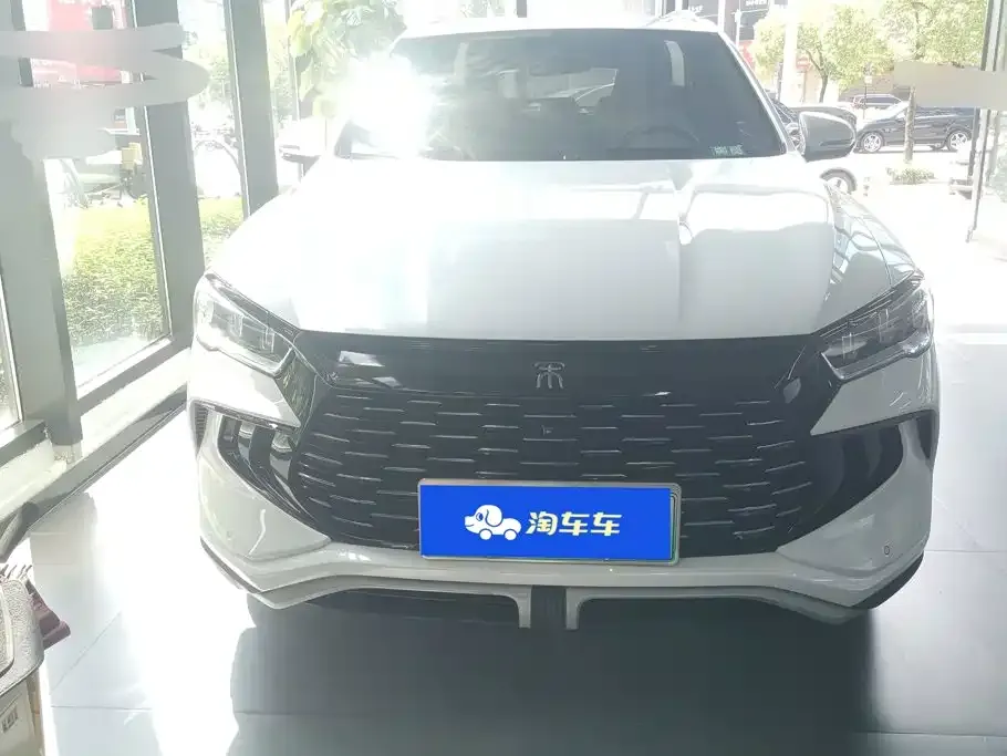 BYD Pro New Energy — фото 3