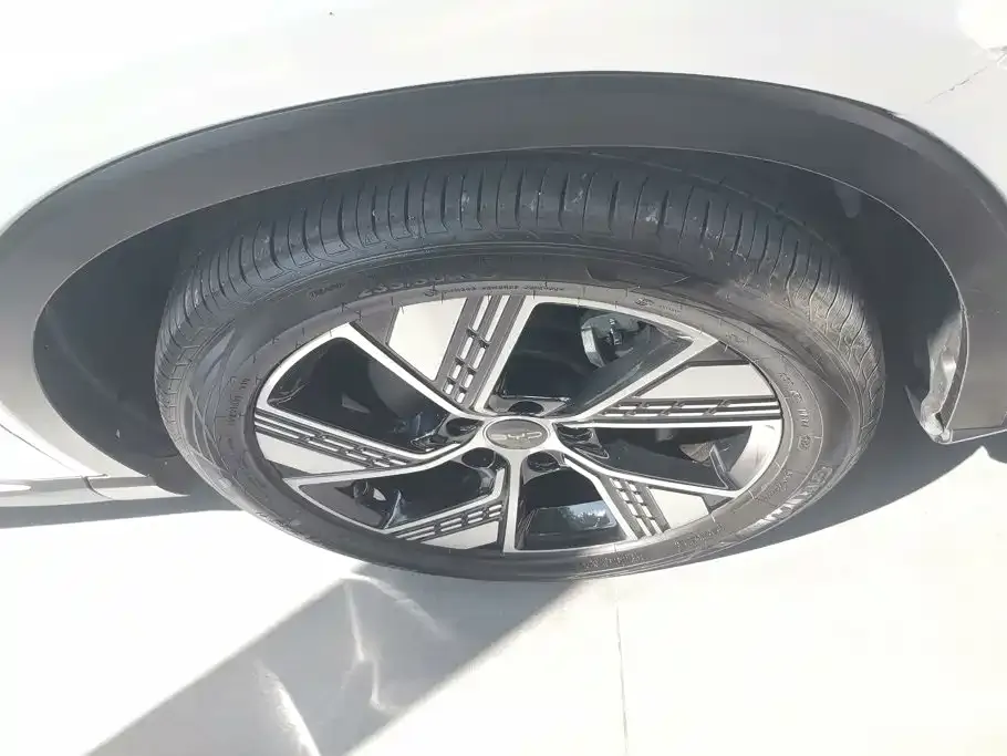 BYD Pro New Energy — фото 7