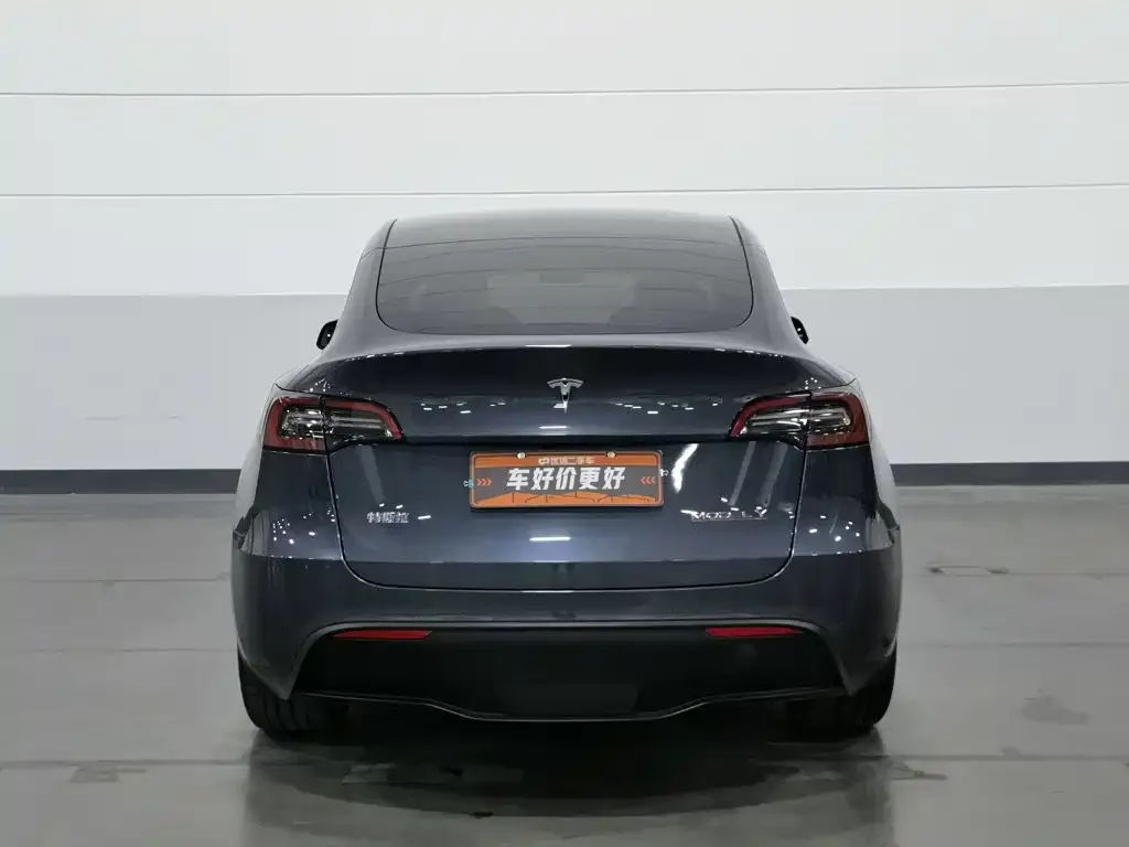Tesla Model Y — фото 5
