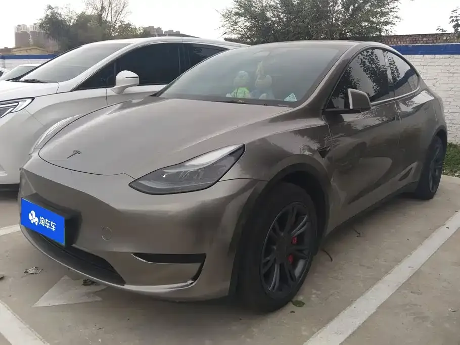 Tesla Model Y — фото 1