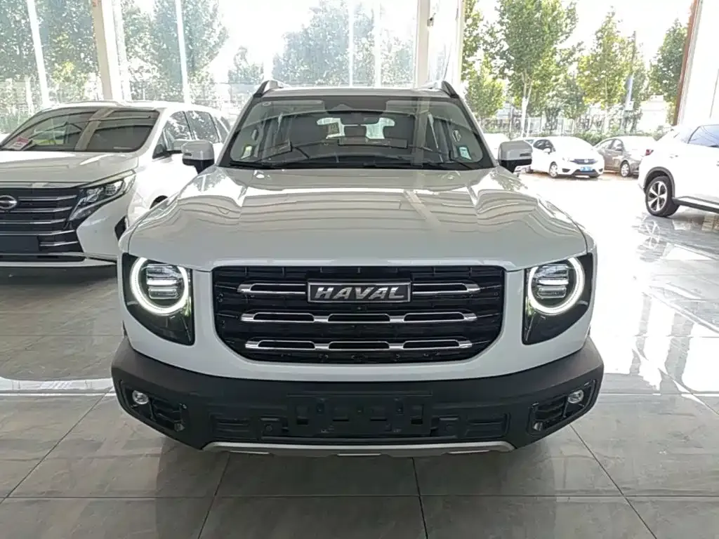 Haval Big Dog — фото 8