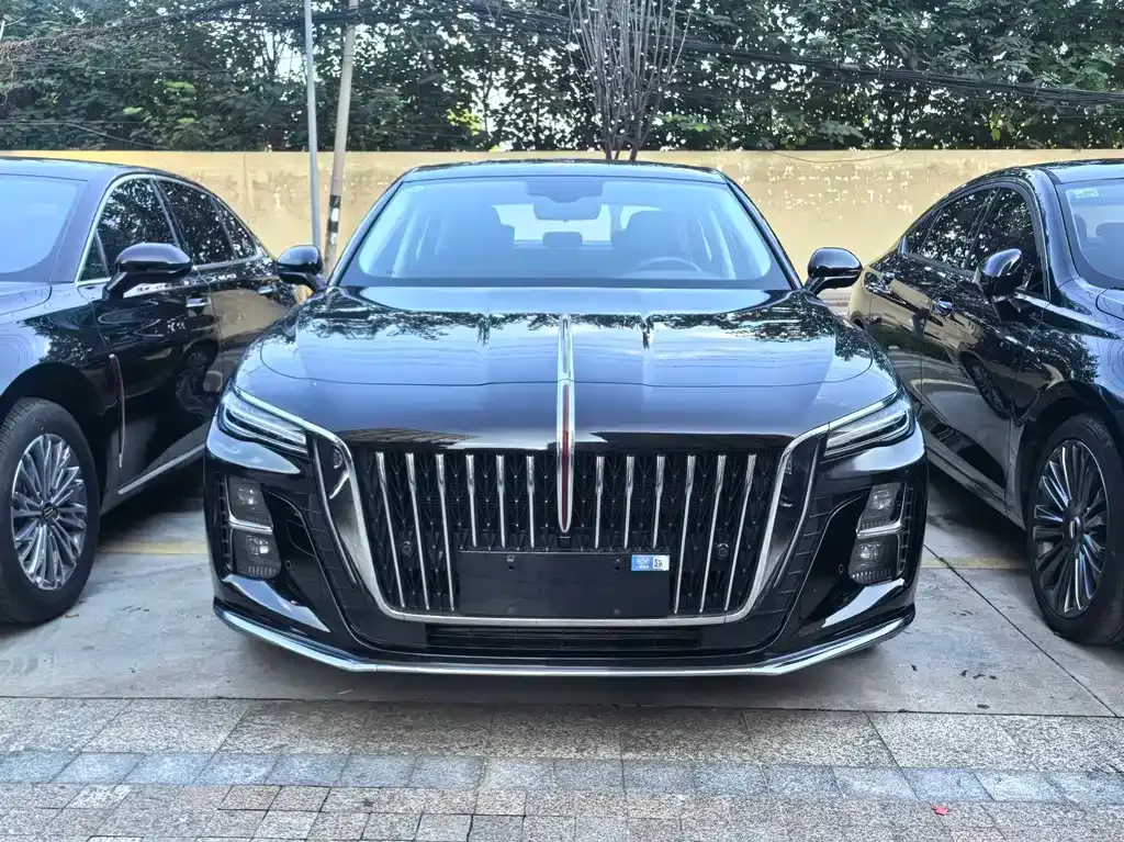 Hongqi H5 — фото 10