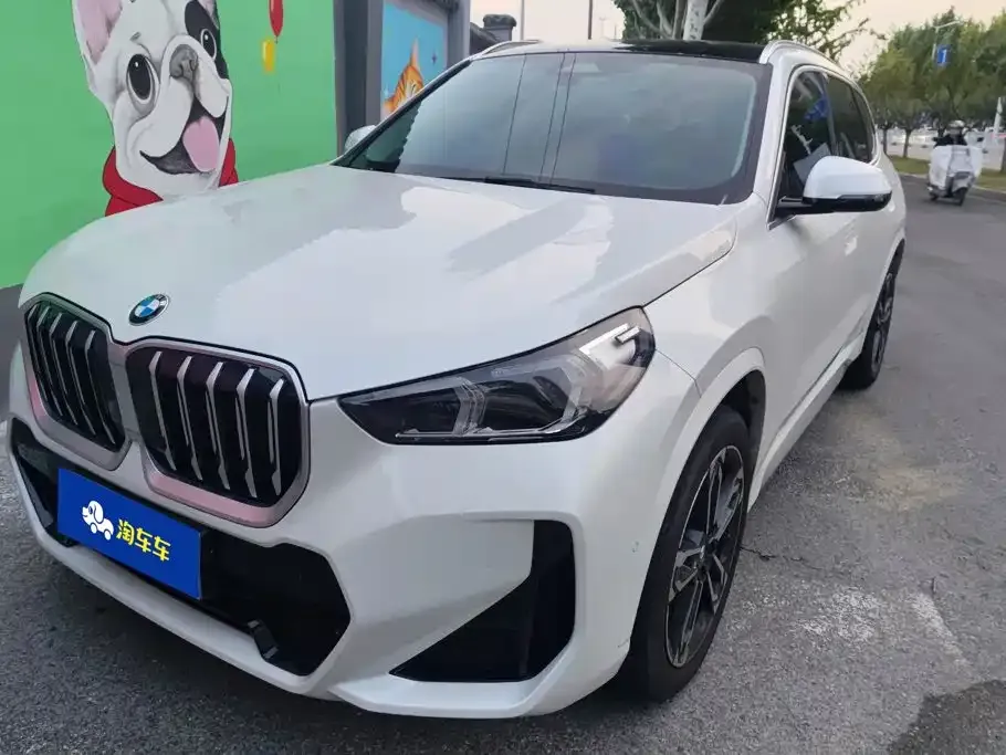 BMW X1 — фото 1