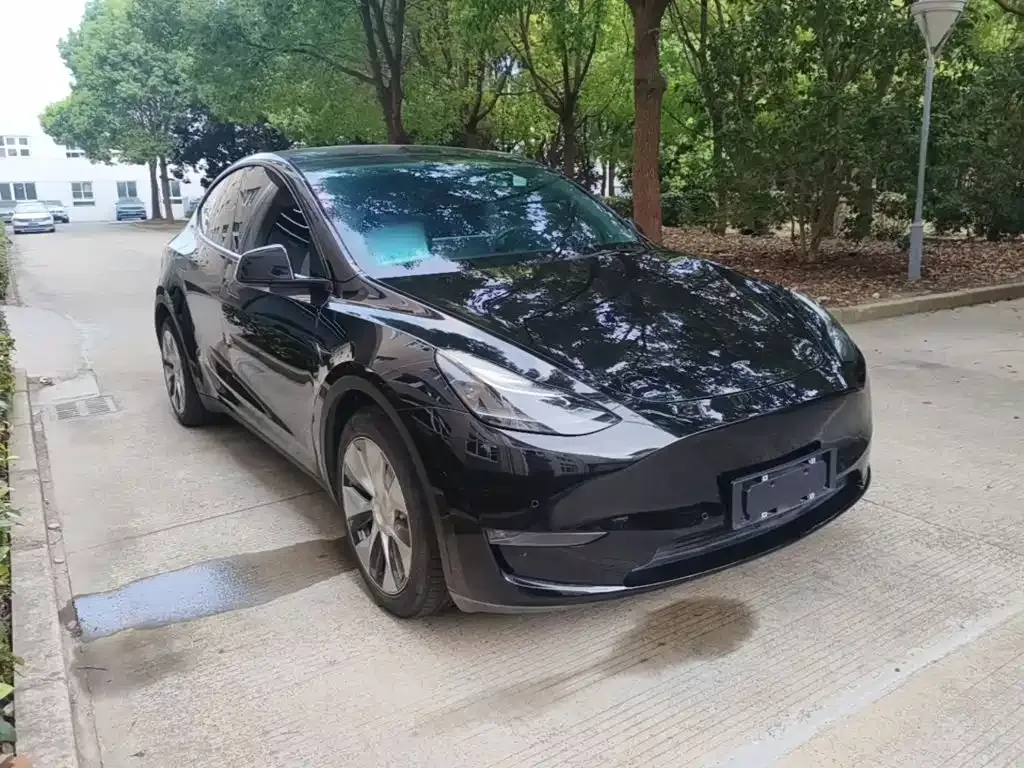 Tesla Model Y — фото 10