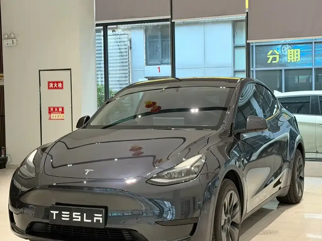 Tesla Model Y — фото 1