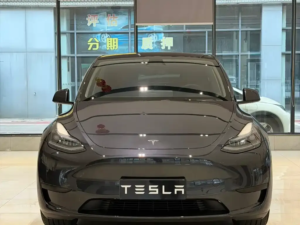 Tesla Model Y — фото 5