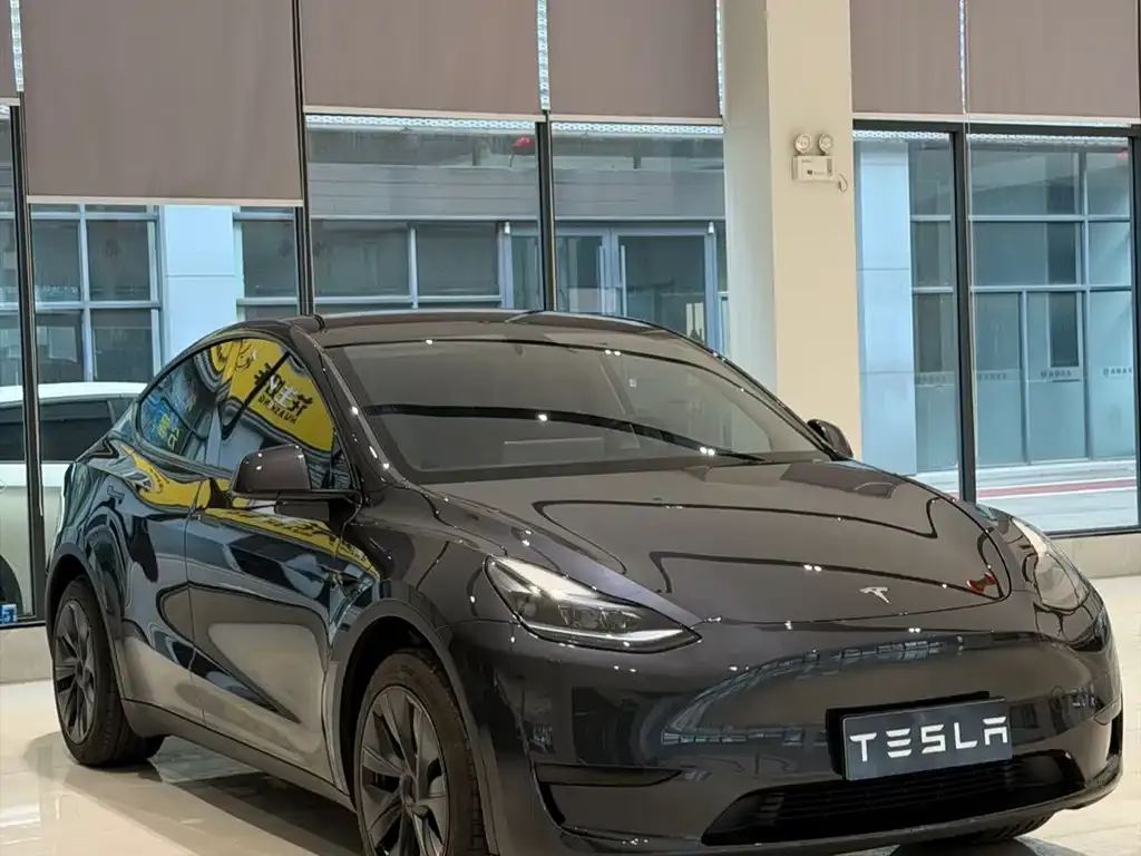 Tesla Model Y — фото 9