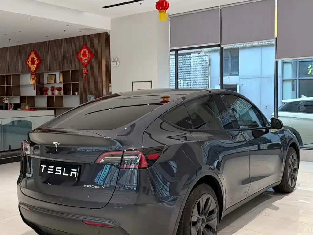 Tesla Model Y — фото 8