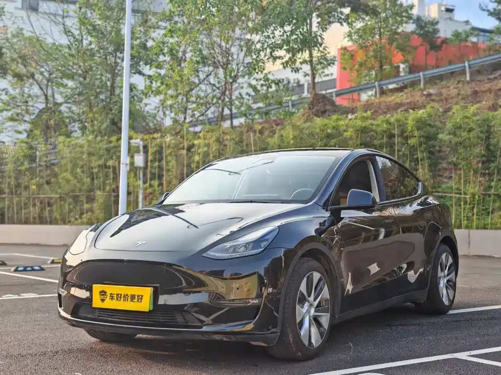Tesla Model Y — фото 1