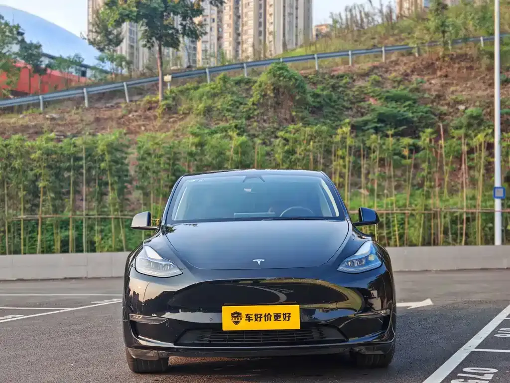 Tesla Model Y — фото 8