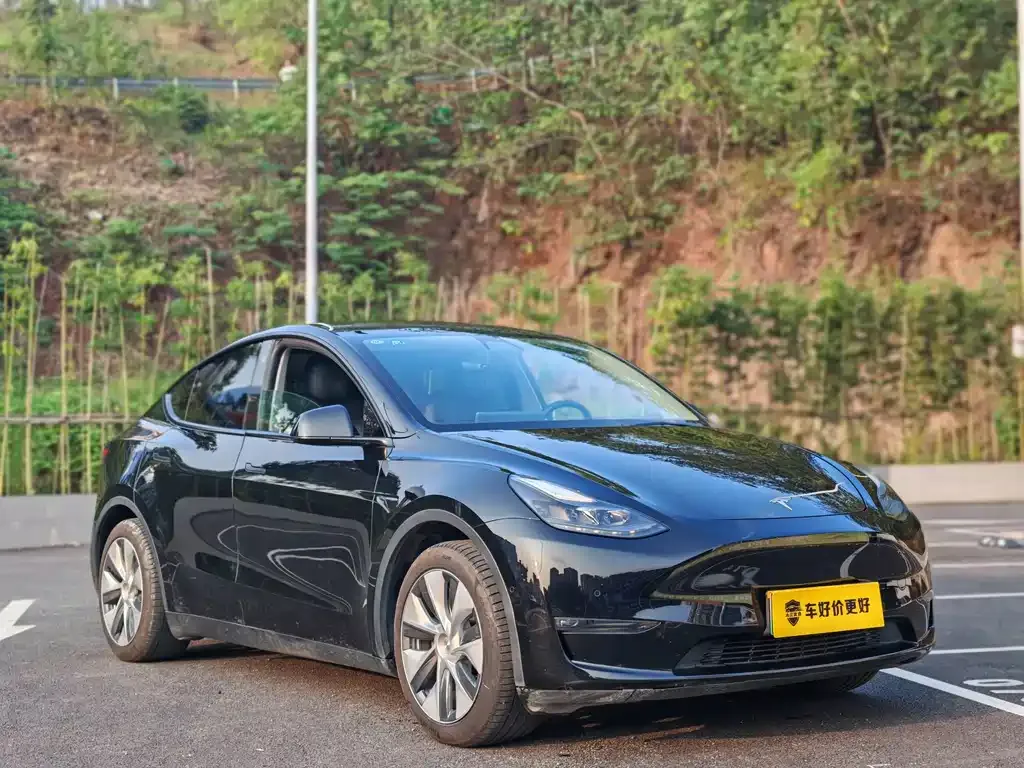 Tesla Model Y — фото 6