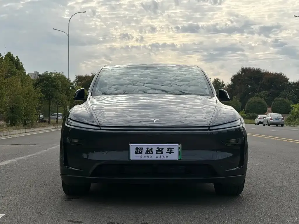 Tesla Model Y — фото 5