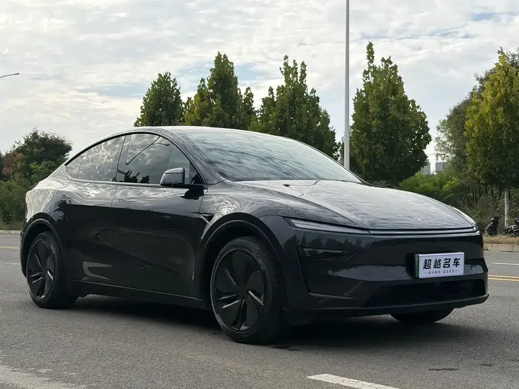 Tesla Model Y — фото 3