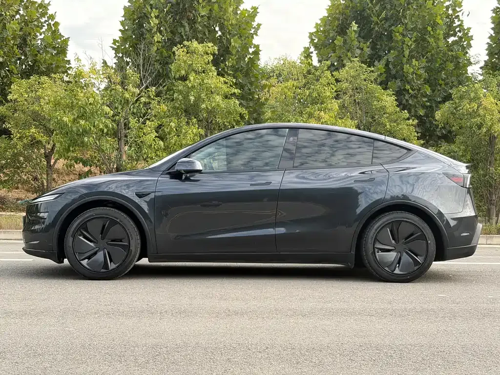 Tesla Model Y — фото 10