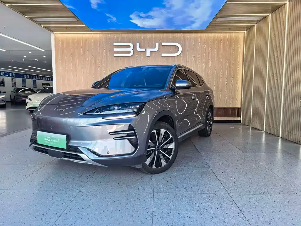 BYD PLUS New Energy — фото 1