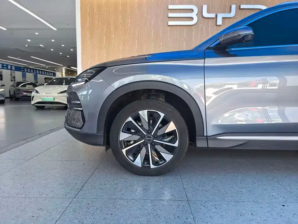 BYD PLUS New Energy — фото 10