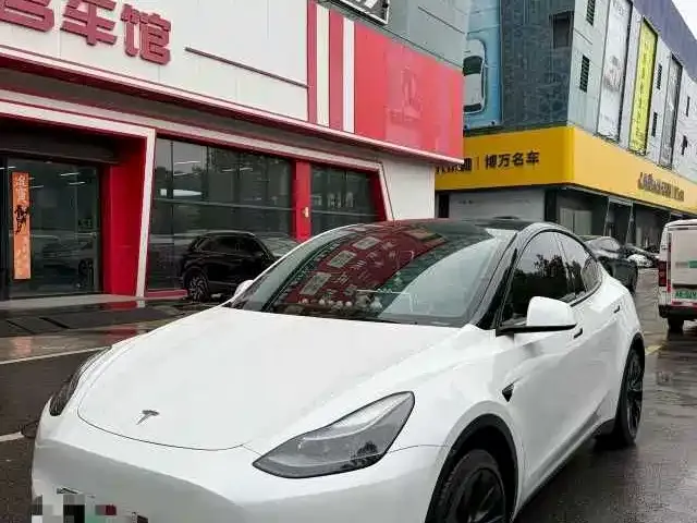 Tesla Model Y — фото 1