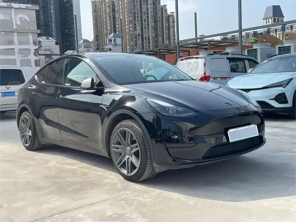 Tesla Model Y — фото 9