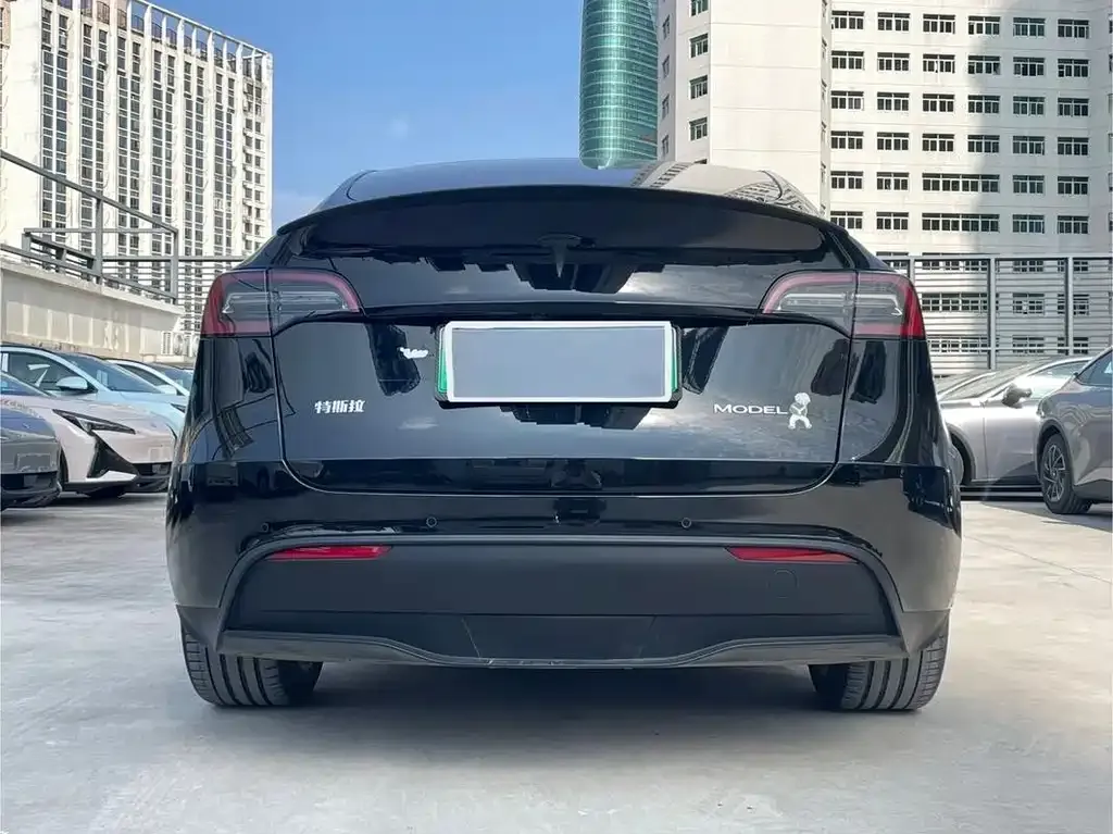 Tesla Model Y — фото 5