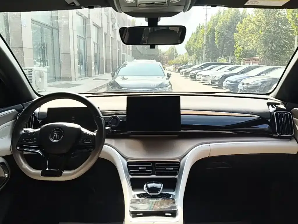 BYD Pro New Energy — фото 1